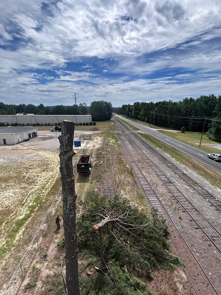 Aerial view of large tree being removed near railroad tracks in Aberdeen