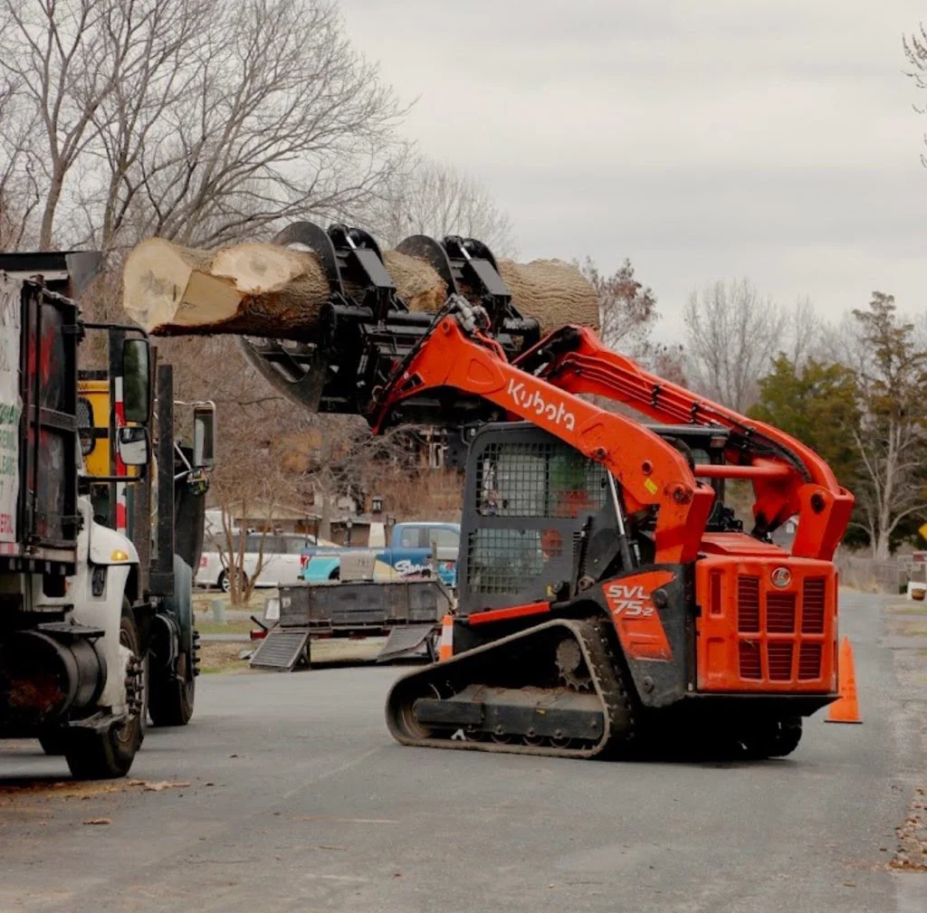 Loader carrying a large log during tree removal cleanup