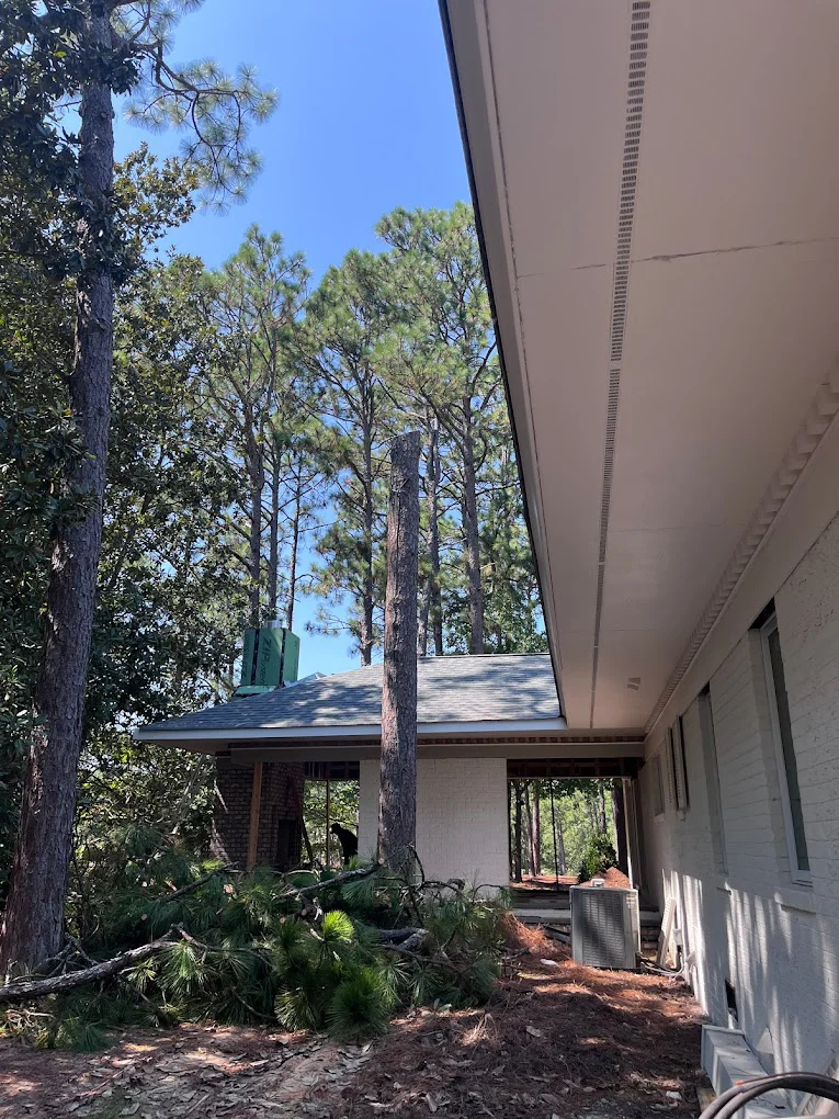 Tree work beside a home with limbs cleared near the foundation