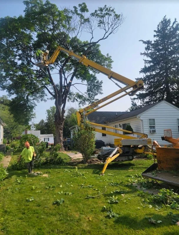 Superior Tree crew using a boom lift to trim a large tree near a residential home